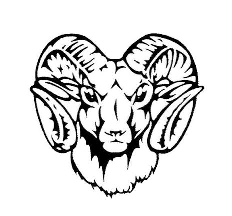 Whitehall-Yearling